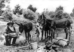 California Gold Miner by Unbekannt Unbekannt